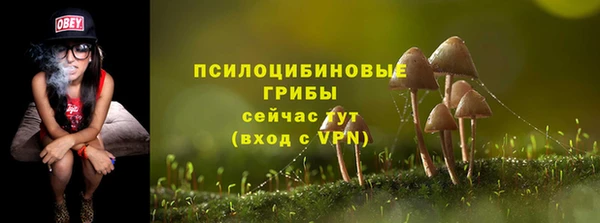 амф Арсеньев